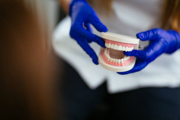 Professional Holistic Dental Care Services in Mansfield, TX